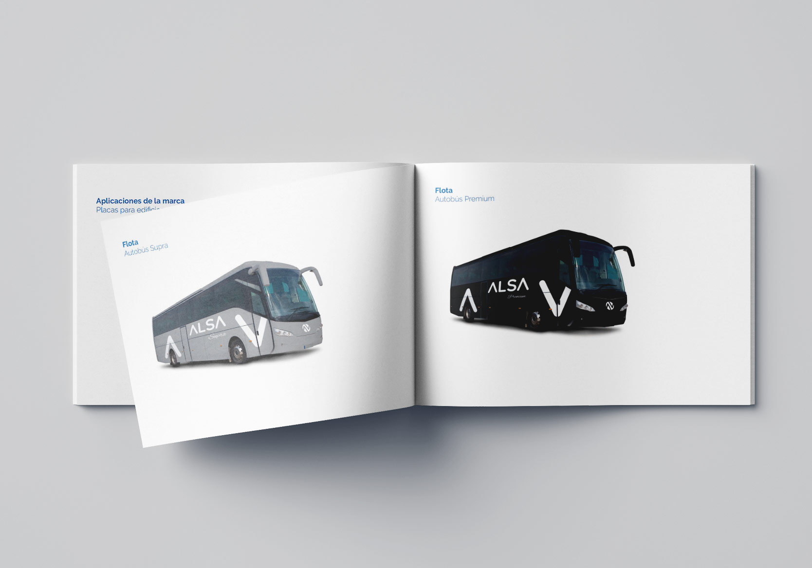project img